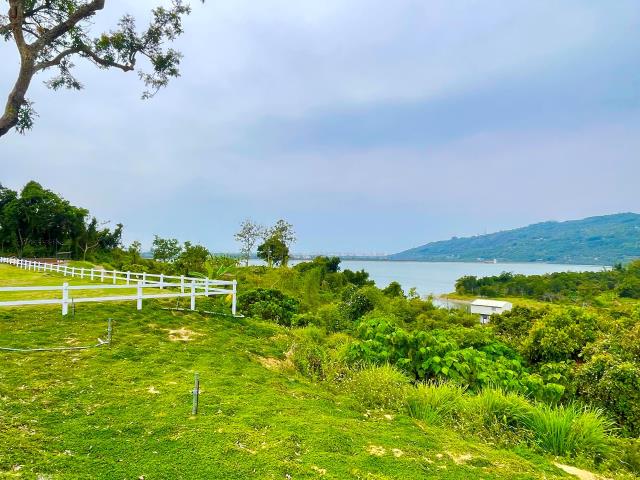 燕巢農地-3