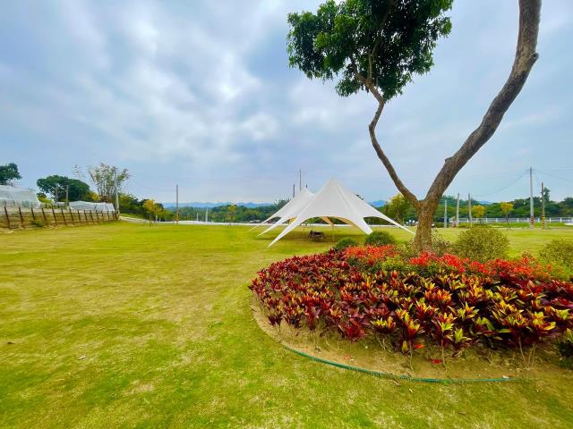 燕巢農地-4