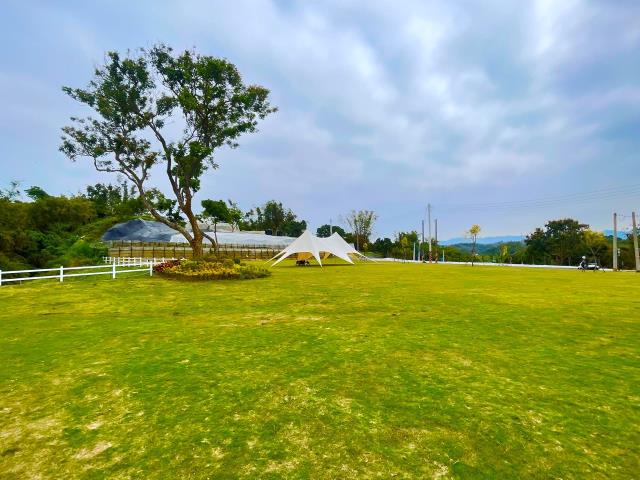 燕巢農地-9