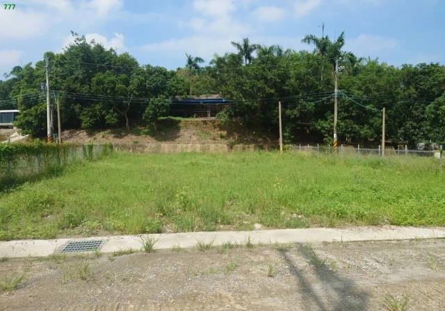 燕巢山坡地保育區-4