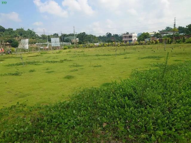 燕巢山坡地保育區-6