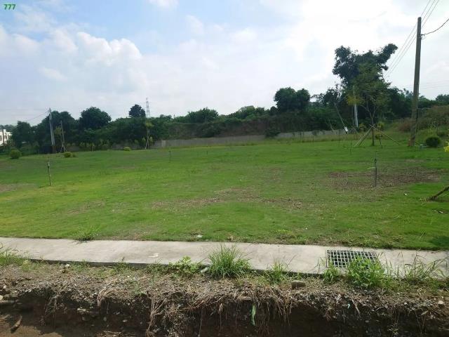 燕巢山坡地保育區-7