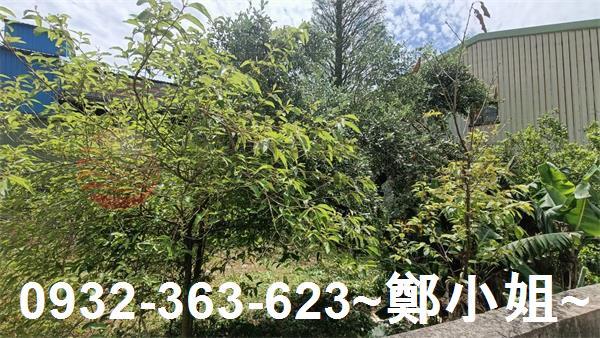 桃園建地-3