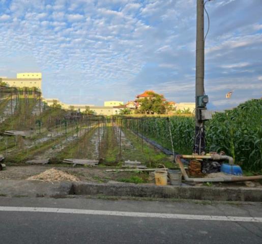 高雄大寮農地-1