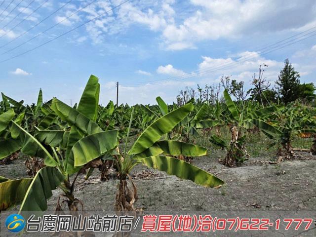 屏東潮州農地-11
