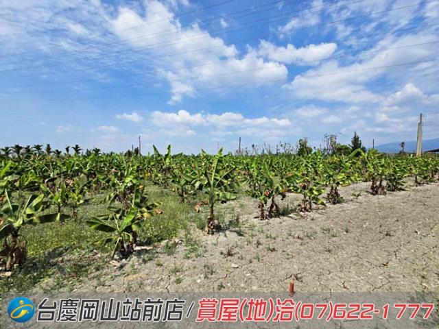 屏東潮州農地-12