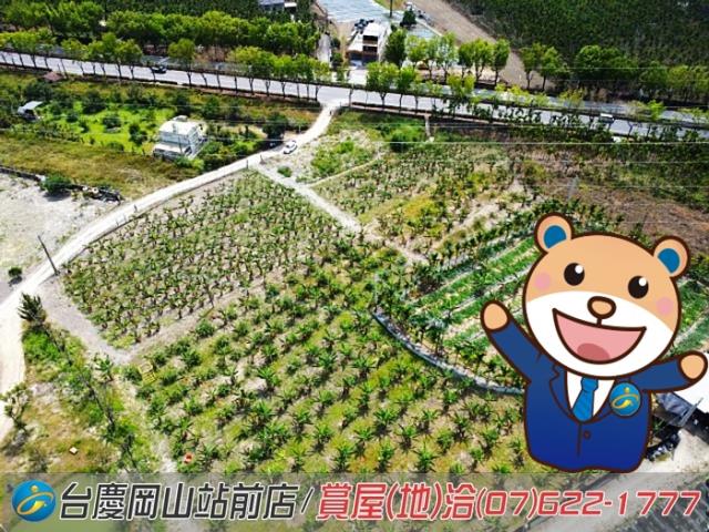 屏東潮州農地-1