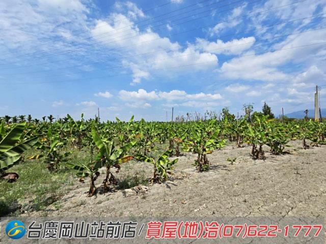 屏東潮州農地-6