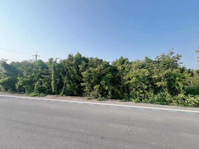 彰化永靖農地-11