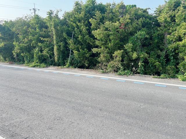 彰化永靖農地-1