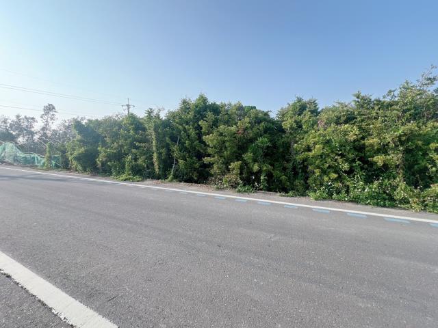 彰化永靖農地-2