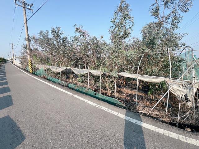 彰化永靖農地-8