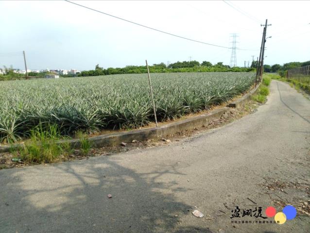 高雄大樹農地-1