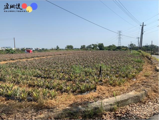 高雄大樹農地-2