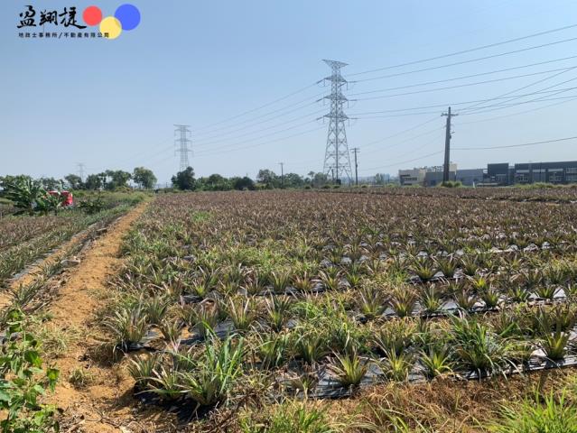 高雄大樹農地-5