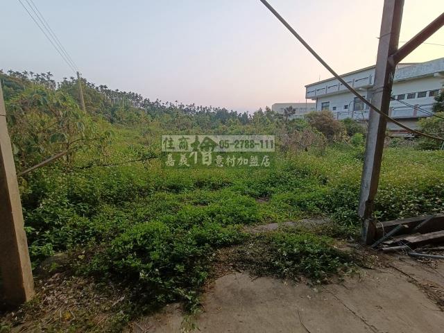 中埔農地-7