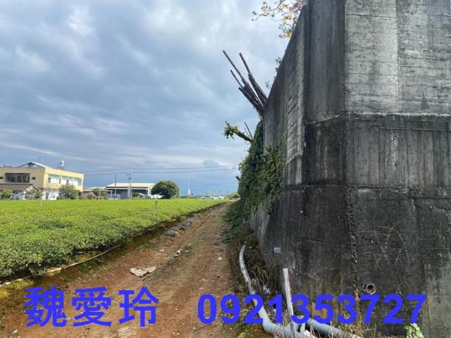 名間農地-5