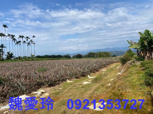 名間農地-6