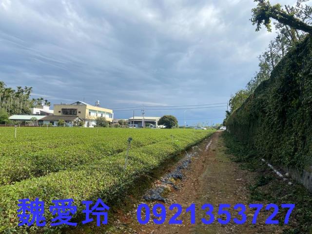 名間農地-7