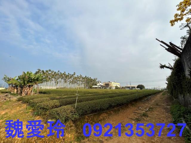 名間農地-9
