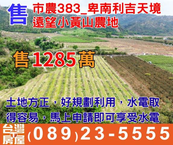 卑南農地-1