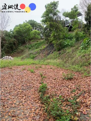 中寮農地-2