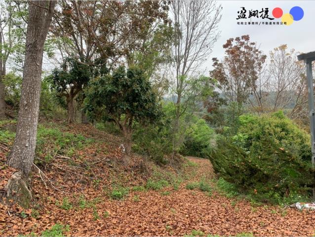 中寮農地-3