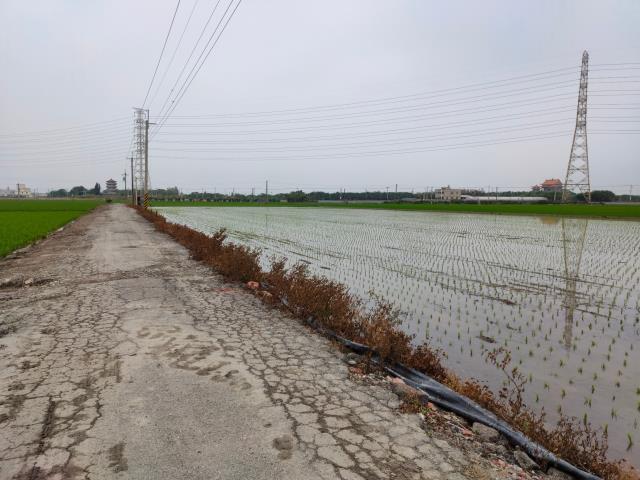 二林農地-4