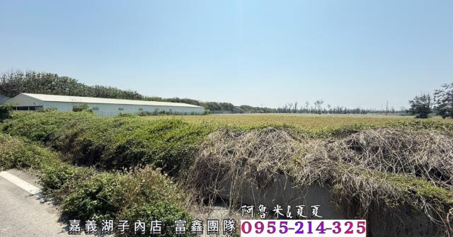四湖農地-8