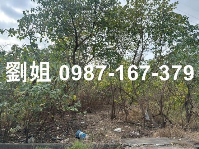 高雄農地-3