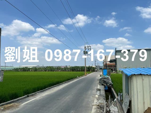 高雄大寮農地-2