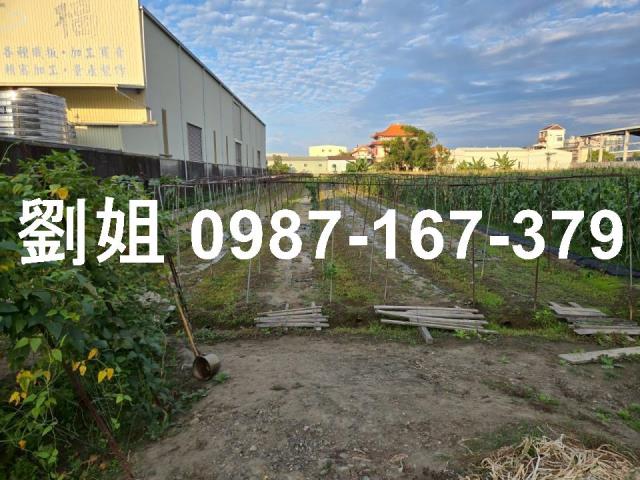 高雄大寮農地-1