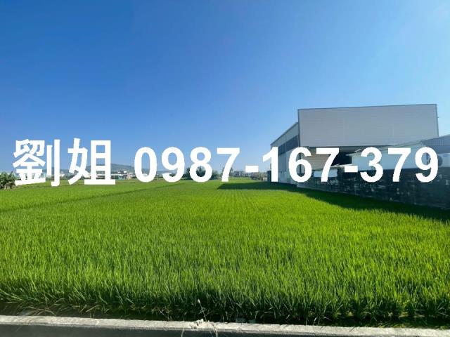 高雄阿蓮農地-2