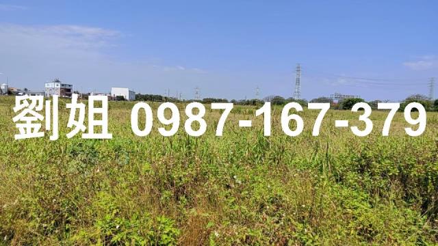 高雄路竹農地-3