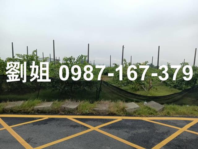 高雄燕巢農地-2