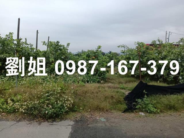 高雄燕巢農地-3