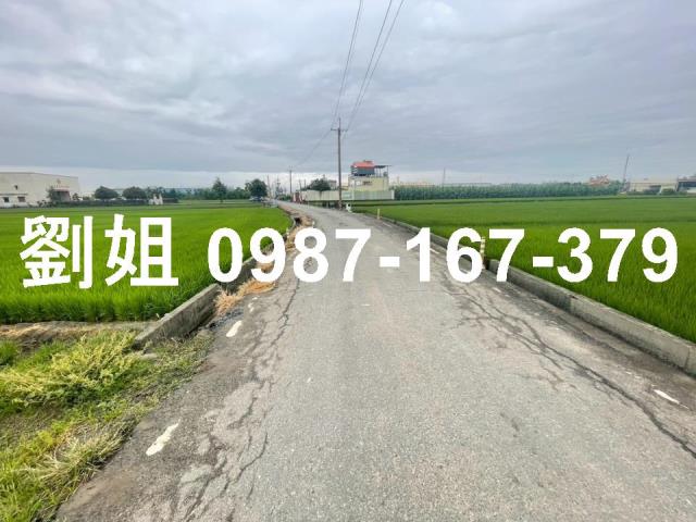 高雄大寮農地-1