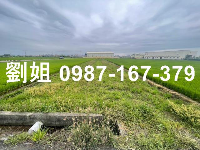 高雄大寮農地-3