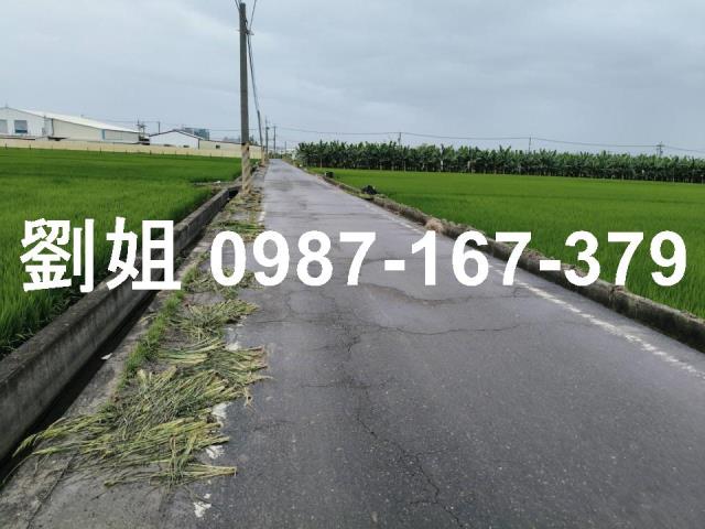 高雄大寮農地-1
