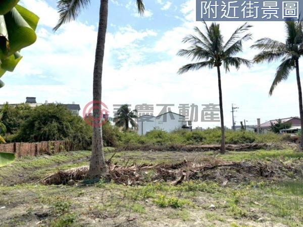 台南建地-5