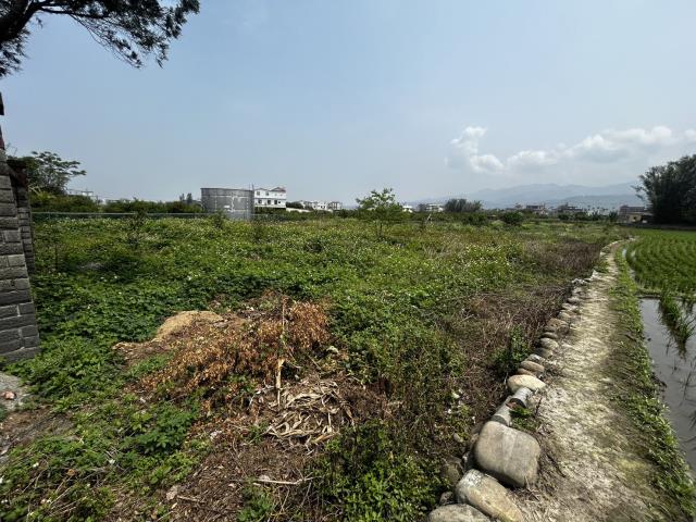苗栗農地-1