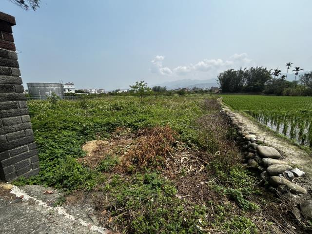 苗栗農地-3