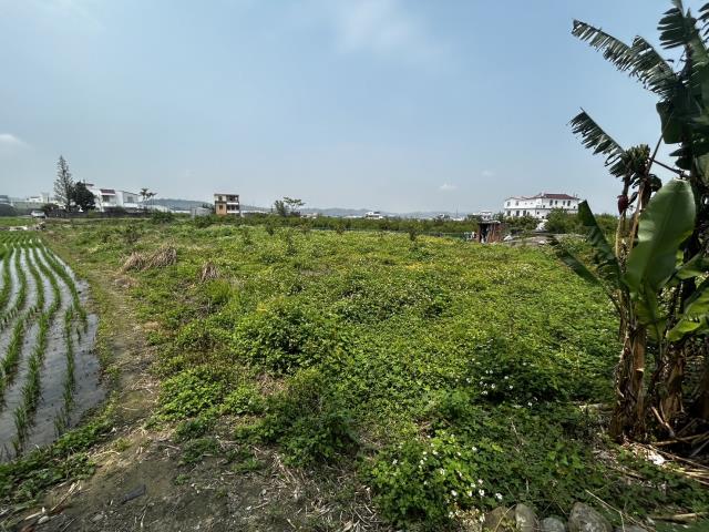 苗栗農地-5