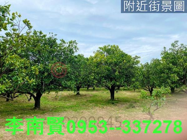 台南麻豆農地-8