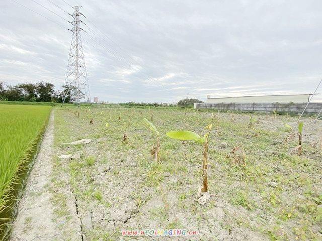 高雄岡山農地-3