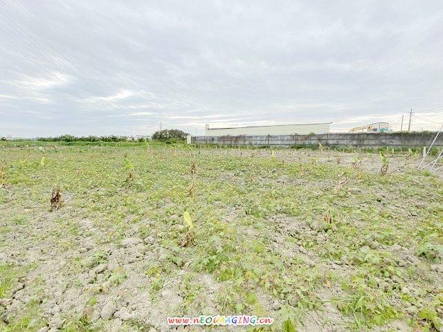 高雄岡山農地-5