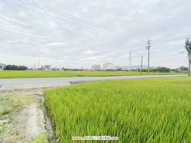 高雄岡山農地-6