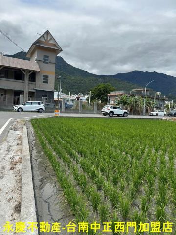 台東關山農地-14