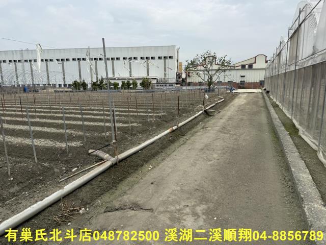 彰化北斗農地-13