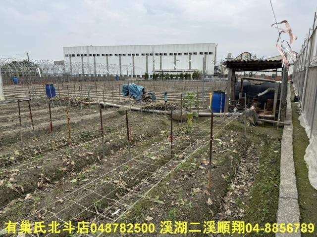 彰化北斗農地-8